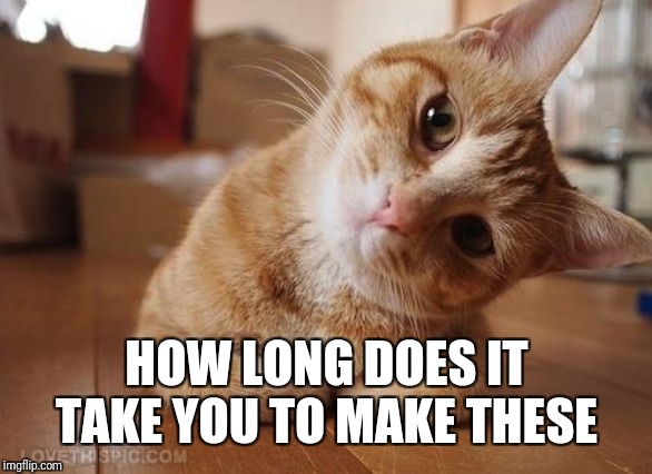 Curious Question Cat | HOW LONG DOES IT TAKE YOU TO MAKE THESE | image tagged in curious question cat | made w/ Imgflip meme maker