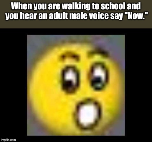 only Smash players will get this . . . . | When you are walking to school and you hear an adult male voice say "Now." | image tagged in memes,super smash brothers,super smash bros,snake | made w/ Imgflip meme maker