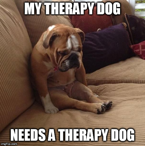 therapy dog | MY THERAPY DOG; NEEDS A THERAPY DOG | image tagged in therapy | made w/ Imgflip meme maker