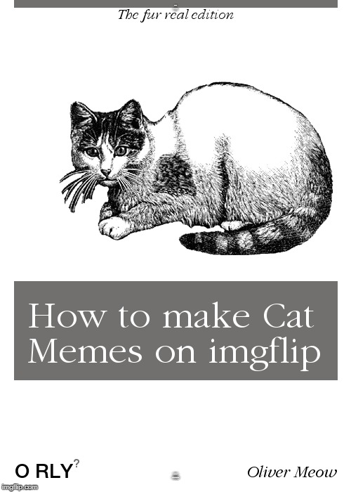 THE FUR REAL EDITION; HOW TO MAKE CAT MEMES ON IMGFLIP | image tagged in memes,o rly,cat memes,cats stream | made w/ Imgflip meme maker
