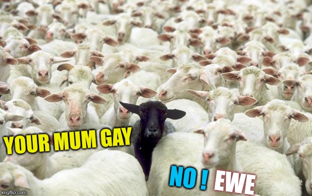 Chop ! |  YOUR MUM GAY; NO ! EWE | image tagged in black sheep,your mom,gay,no u,ewe | made w/ Imgflip meme maker