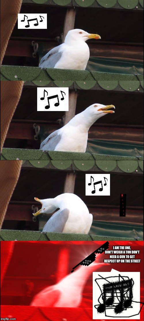 Inhaling Seagull | I AM THE ONE, DON'T WEIGH A TON
DON'T NEED A GUN TO GET RESPECT UP ON THE STREET | image tagged in memes,inhaling seagull | made w/ Imgflip meme maker