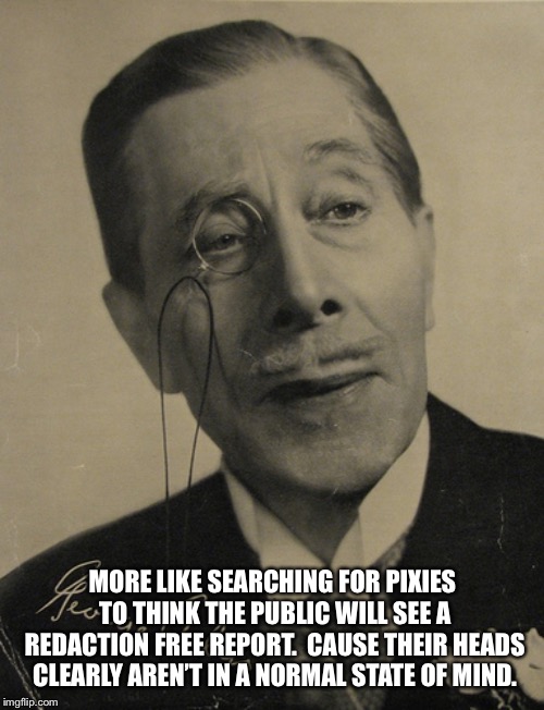 english gentleman with monocle | MORE LIKE SEARCHING FOR PIXIES TO THINK THE PUBLIC WILL SEE A REDACTION FREE REPORT.  CAUSE THEIR HEADS CLEARLY AREN’T IN A NORMAL STATE OF  | image tagged in english gentleman with monocle | made w/ Imgflip meme maker