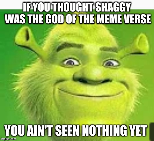 if you thought shaggy was a god | IF YOU THOUGHT SHAGGY WAS THE GOD OF THE MEME VERSE; YOU AIN'T SEEN NOTHING YET | image tagged in shaggy,god | made w/ Imgflip meme maker