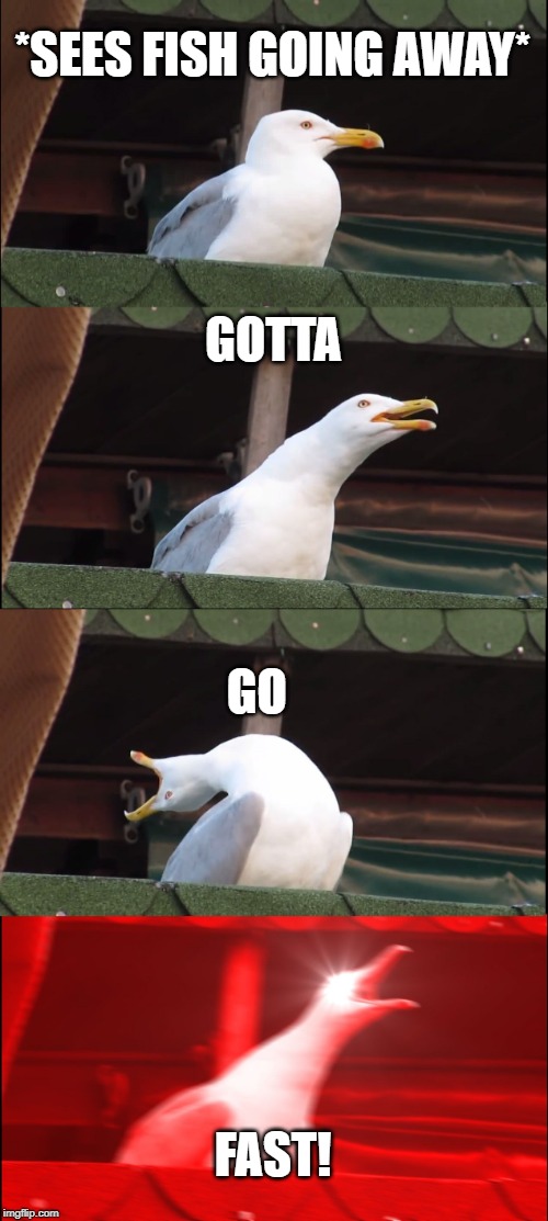 Sonic the Seagull wants a fish | *SEES FISH GOING AWAY*; GOTTA; GO; FAST! | image tagged in memes,inhaling seagull,sonic,gotta go fast,fish,seagull want fish | made w/ Imgflip meme maker