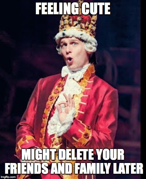 Feeling cute...wow | FEELING CUTE; MIGHT DELETE YOUR FRIENDS AND FAMILY LATER | image tagged in hamilton,alexander hamilton,musical,musicals | made w/ Imgflip meme maker