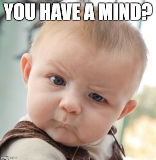 Skeptical Baby Meme | YOU HAVE A MIND? | image tagged in memes,skeptical baby | made w/ Imgflip meme maker