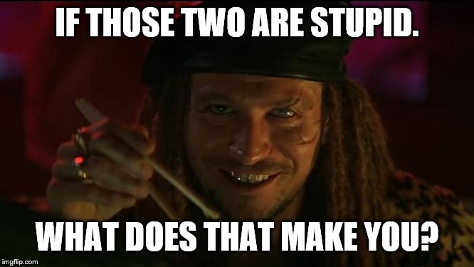 IF THOSE TWO ARE STUPID. WHAT DOES THAT MAKE YOU? | made w/ Imgflip meme maker