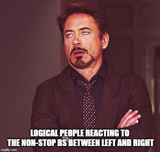 Robert Downey Jr rolling eyes | LOGICAL PEOPLE REACTING TO THE NON-STOP BS BETWEEN LEFT AND RIGHT | image tagged in robert downey jr rolling eyes | made w/ Imgflip meme maker
