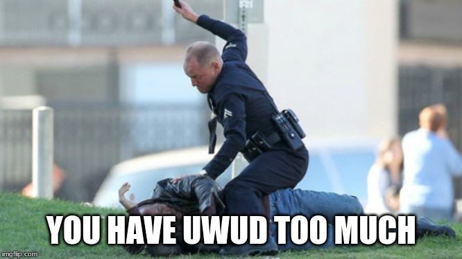 Cop Beating | YOU HAVE UWUD TOO MUCH | image tagged in cop beating | made w/ Imgflip meme maker