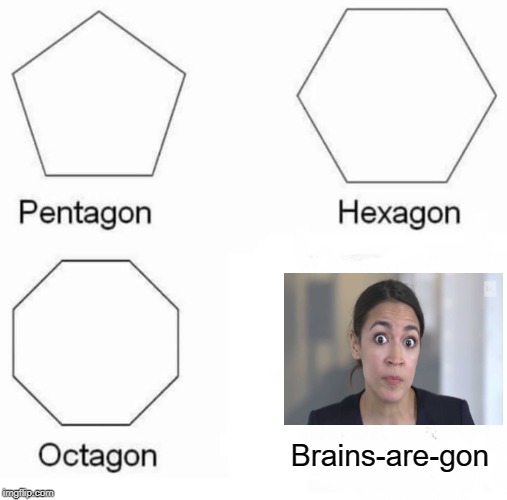 sounds about right. gone | Brains-are-gon | image tagged in memes,pentagon hexagon octagon,alexandria ocasio-cortez,socialism | made w/ Imgflip meme maker