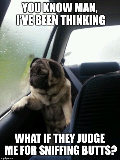 Introspective Pug | YOU KNOW MAN, I’VE BEEN THINKING; WHAT IF THEY JUDGE ME FOR SNIFFING BUTTS? | image tagged in introspective pug | made w/ Imgflip meme maker