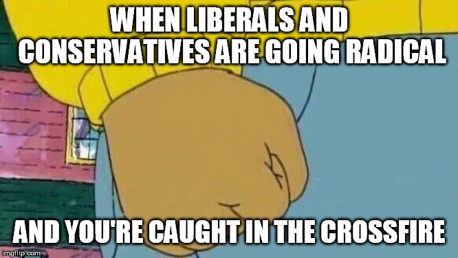 Arthur Fist Meme | WHEN LIBERALS AND CONSERVATIVES ARE GOING RADICAL; AND YOU'RE CAUGHT IN THE CROSSFIRE | image tagged in memes,arthur fist,stupid liberals,stupid conservatives,radical,insanity | made w/ Imgflip meme maker