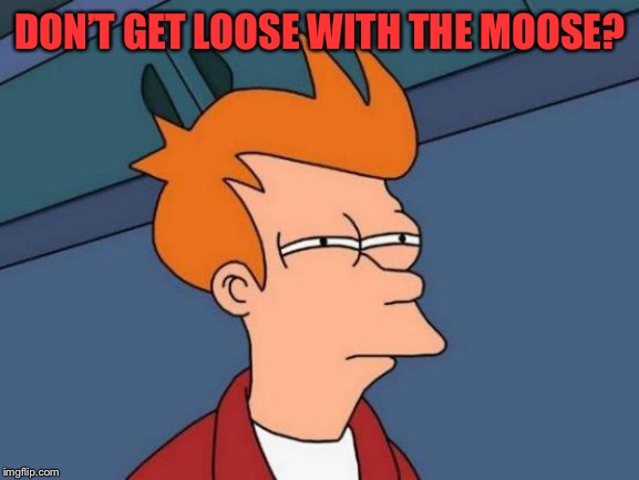 Futurama Fry Meme | DON’T GET LOOSE WITH THE MOOSE? | image tagged in memes,futurama fry | made w/ Imgflip meme maker
