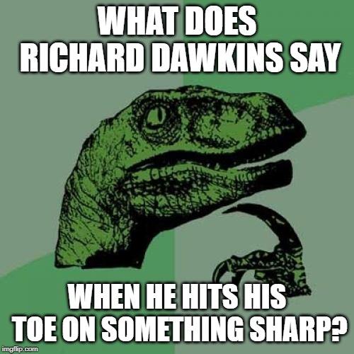 Philosoraptor Meme | WHAT DOES RICHARD DAWKINS SAY; WHEN HE HITS HIS TOE ON SOMETHING SHARP? | image tagged in memes,philosoraptor | made w/ Imgflip meme maker