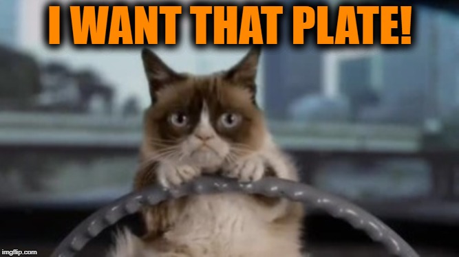 Grumpy cat driving | I WANT THAT PLATE! | image tagged in grumpy cat driving | made w/ Imgflip meme maker