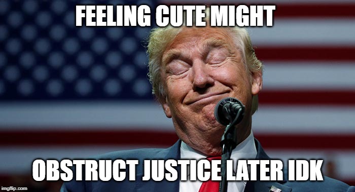 FEELING CUTE MIGHT; OBSTRUCT JUSTICE LATER IDK | made w/ Imgflip meme maker