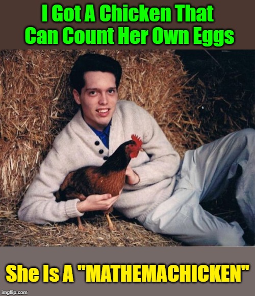 "She's Eggshellent" Get Your Puns Ready For "Pun Weekend" Starting 19th-21st. A Triumph_9 & Craziness_all_the_way event | I Got A Chicken That Can Count Her Own Eggs; She Is A "MATHEMACHICKEN" | image tagged in memes,pun weekend,chicken joke,puns | made w/ Imgflip meme maker