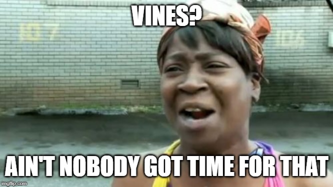 Ain't Nobody Got Time For That | VINES? AIN'T NOBODY GOT TIME FOR THAT | image tagged in memes,aint nobody got time for that | made w/ Imgflip meme maker