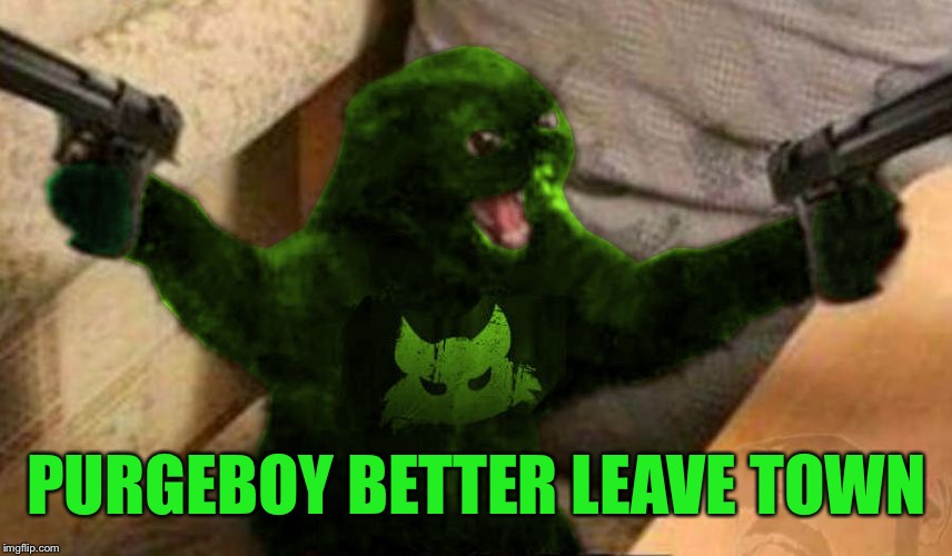 RayCat Angry | PURGEBOY BETTER LEAVE TOWN | image tagged in raycat angry | made w/ Imgflip meme maker
