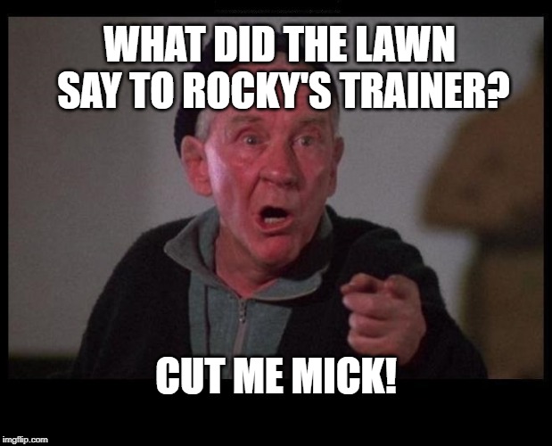 Adrian!!! |  WHAT DID THE LAWN SAY TO ROCKY'S TRAINER? CUT ME MICK! | image tagged in micky rocky,lawn | made w/ Imgflip meme maker