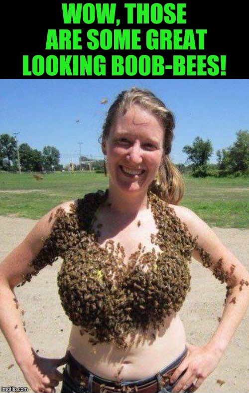 B00B-BEES | WOW, THOSE ARE SOME GREAT LOOKING B00B-BEES! | image tagged in bees,jbmemegeek,weird stuff | made w/ Imgflip meme maker