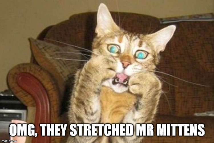 Scared cat | OMG, THEY STRETCHED MR MITTENS | image tagged in shocked cat,frontpage | made w/ Imgflip meme maker