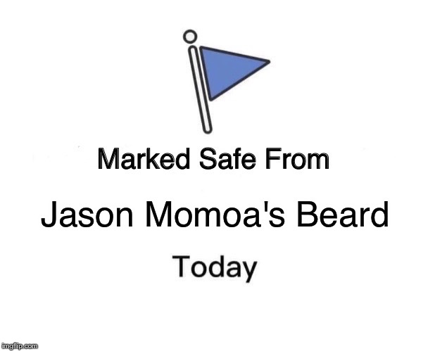Marked Safe From Meme | Jason Momoa's Beard | image tagged in memes,marked safe from | made w/ Imgflip meme maker