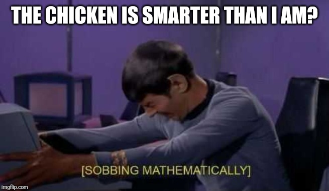 Sobbing Mathematically  | THE CHICKEN IS SMARTER THAN I AM? | image tagged in sobbing mathematically | made w/ Imgflip meme maker