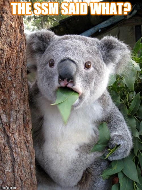 Surprised Koala Meme | THE SSM SAID WHAT? | image tagged in memes,surprised koala | made w/ Imgflip meme maker