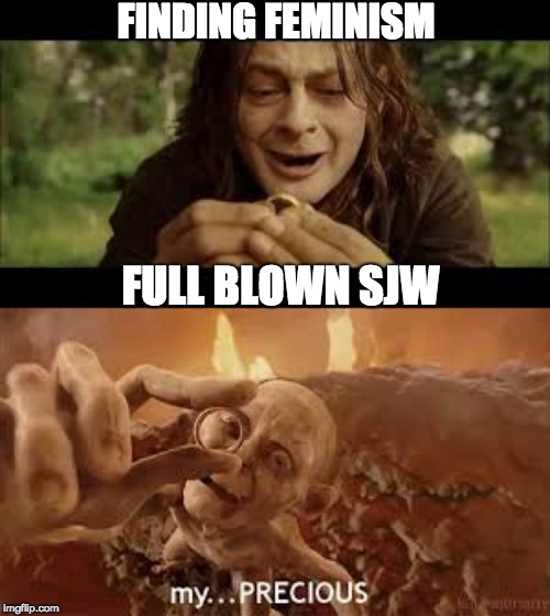 FINDING FEMINISM; FULL BLOWN SJW | image tagged in MGTOW | made w/ Imgflip meme maker