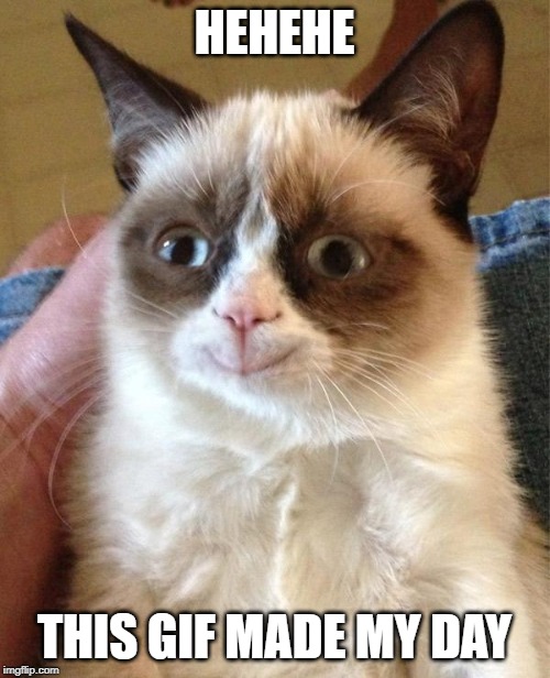 Grumpy Cat Happy Meme | HEHEHE THIS GIF MADE MY DAY | image tagged in memes,grumpy cat happy,grumpy cat | made w/ Imgflip meme maker