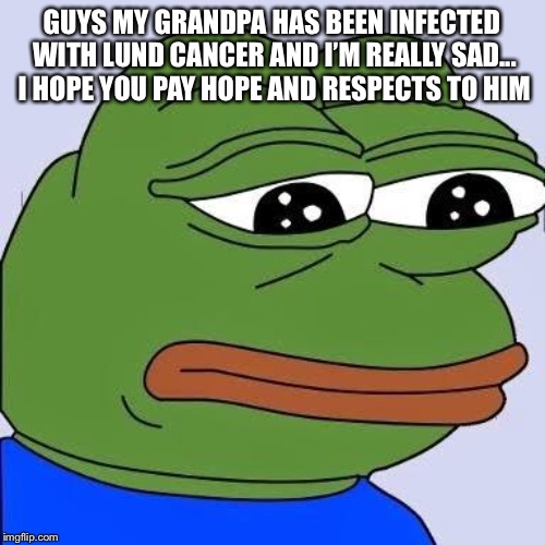pepe | GUYS MY GRANDPA HAS BEEN INFECTED WITH LUND CANCER AND I’M REALLY SAD... I HOPE YOU PAY HOPE AND RESPECTS TO HIM | image tagged in pepe | made w/ Imgflip meme maker