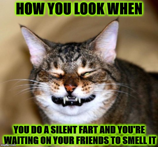 HOW YOU LOOK | HOW YOU LOOK WHEN; YOU DO A SILENT FART AND YOU'RE WAITING ON YOUR FRIENDS TO SMELL IT | image tagged in how you look | made w/ Imgflip meme maker