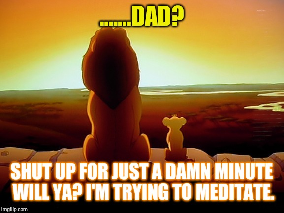 Lion King | .......DAD? SHUT UP FOR JUST A DAMN MINUTE WILL YA? I'M TRYING TO MEDITATE. | image tagged in memes,lion king | made w/ Imgflip meme maker