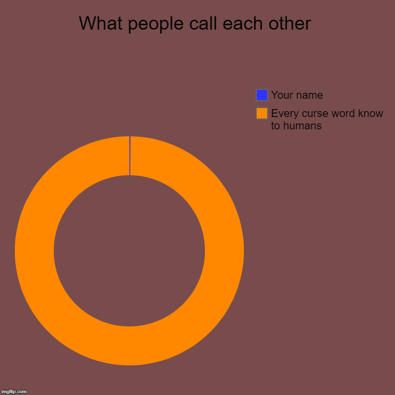 What people call each other | Every curse word know to humans, Your name | image tagged in charts,donut charts | made w/ Imgflip chart maker