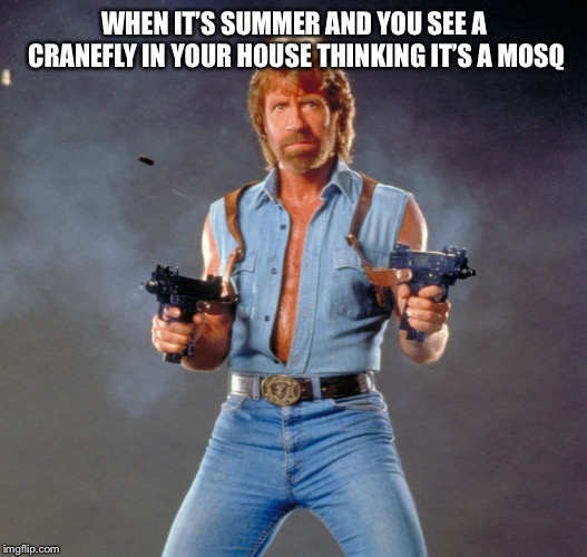Chuck Norris Guns | WHEN IT’S SUMMER AND YOU SEE A CRANEFLY IN YOUR HOUSE THINKING IT’S A MOSQUITO | image tagged in memes,chuck norris guns,chuck norris | made w/ Imgflip meme maker