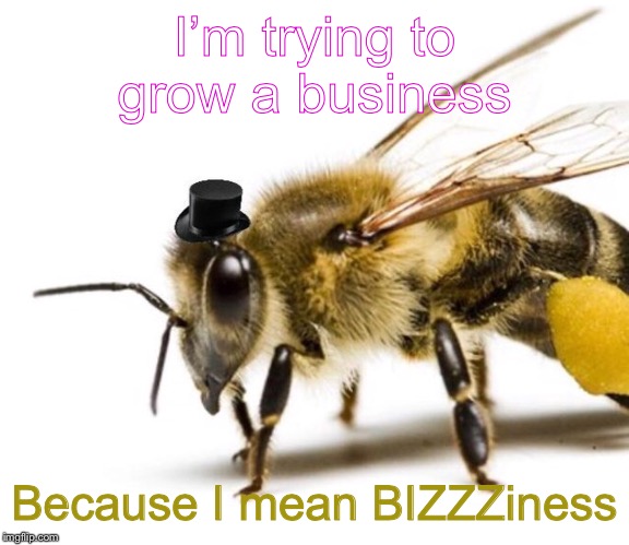Buzz buzz what’s all the buzzzz | I’m trying to grow a business; Because I mean BIZZZiness | image tagged in puns,memes,posh,bees | made w/ Imgflip meme maker