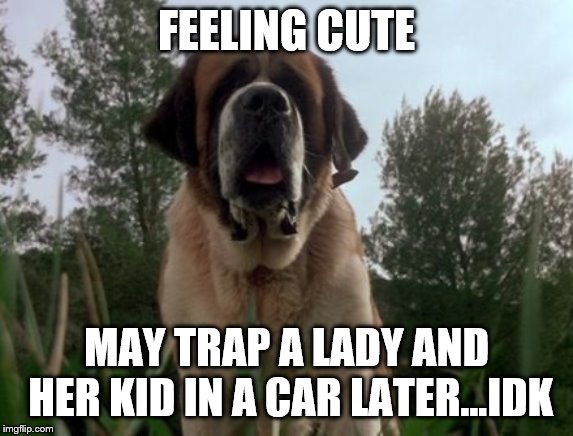 Cujo | FEELING CUTE; MAY TRAP A LADY AND HER KID IN A CAR LATER...IDK | image tagged in cujo | made w/ Imgflip meme maker