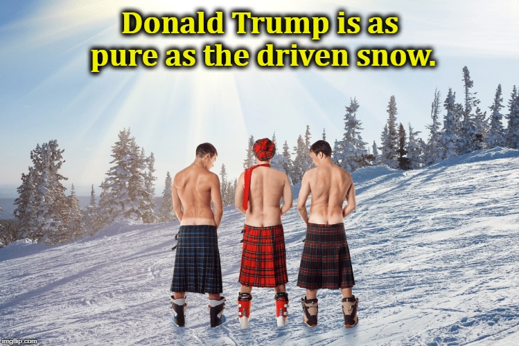 Donald Trump is as pure as the driven snow. | image tagged in trump,snow | made w/ Imgflip meme maker