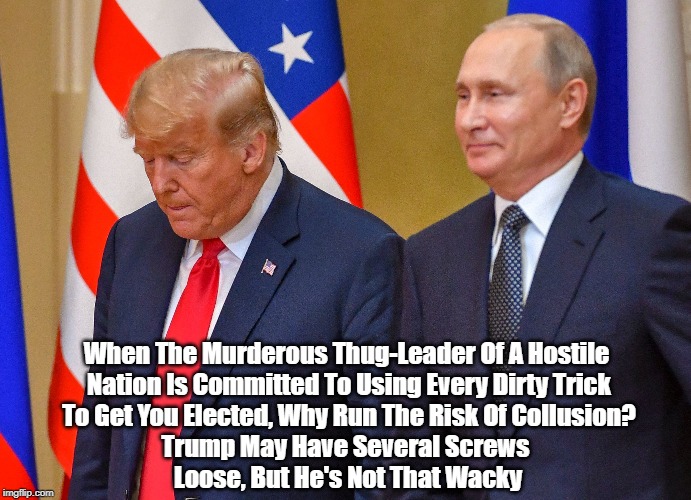 "Trump May Have Several Screws Loose, But He's Not That Wacky" | When The Murderous Thug-Leader Of A Hostile Nation Is Committed To Using Every Dirty Trick To Get You Elected, Why Run The Risk Of Collusion? Trump May Have Several Screws Loose, But He's Not That Wacky | image tagged in trump,putin,collusion,why is this man smiling | made w/ Imgflip meme maker