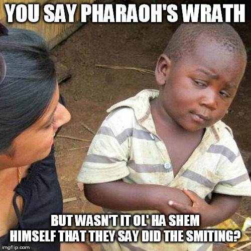 Third World Skeptical Kid Meme | YOU SAY PHARAOH'S WRATH BUT WASN'T IT OL' HA SHEM HIMSELF THAT THEY SAY DID THE SMITING? | image tagged in memes,third world skeptical kid | made w/ Imgflip meme maker