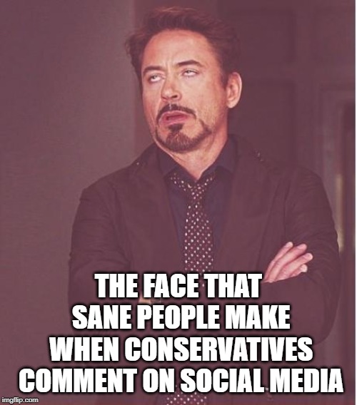 Face You Make Robert Downey Jr Meme | THE FACE THAT SANE PEOPLE MAKE WHEN CONSERVATIVES COMMENT ON SOCIAL MEDIA | image tagged in memes,face you make robert downey jr | made w/ Imgflip meme maker