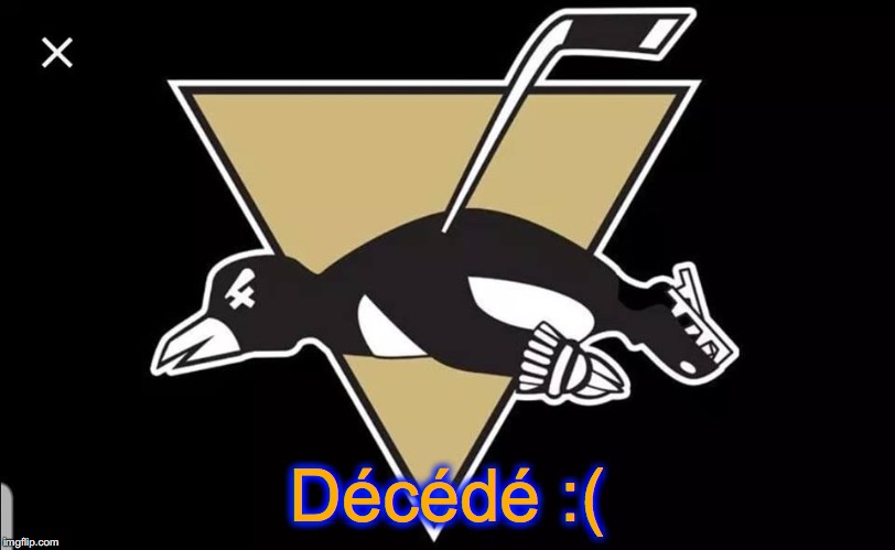 Dead Penguin | Décédé :( | image tagged in pittsburgh penguins | made w/ Imgflip meme maker