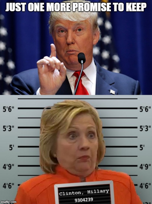 Hillary for Prison | JUST ONE MORE PROMISE TO KEEP | image tagged in donald trump,hillary prison | made w/ Imgflip meme maker