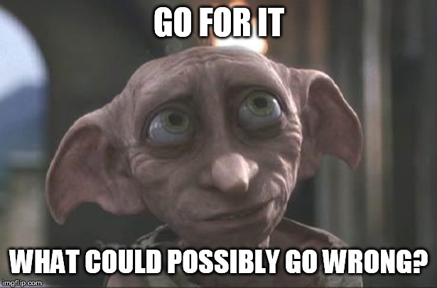 dobby | GO FOR IT WHAT COULD POSSIBLY GO WRONG? | image tagged in dobby | made w/ Imgflip meme maker