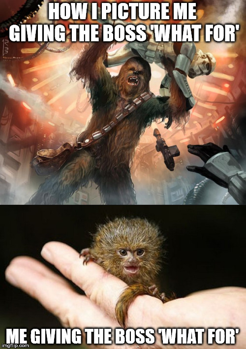 You sure told him! | HOW I PICTURE ME GIVING THE BOSS 'WHAT FOR'; ME GIVING THE BOSS 'WHAT FOR' | image tagged in chewbacca,star wars,work,boss,funny animal | made w/ Imgflip meme maker