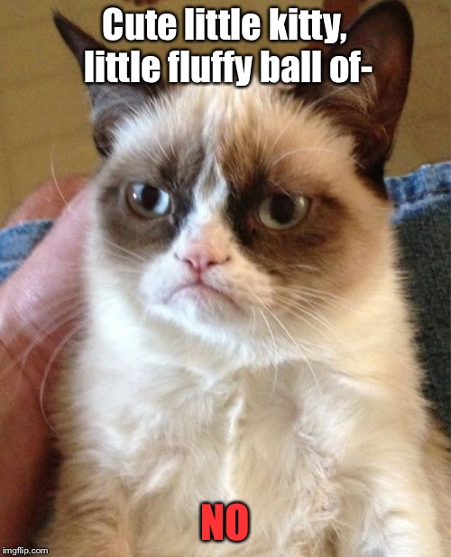 Grumpy Cat Praise Rejection | Cute little kitty, little fluffy ball of-; NO | image tagged in memes,grumpy cat | made w/ Imgflip meme maker