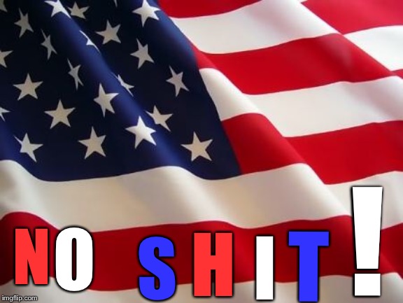 American flag | N O S H I T ! | image tagged in american flag | made w/ Imgflip meme maker
