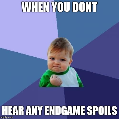 Success Kid Meme | WHEN YOU DONT; HEAR ANY ENDGAME SPOILS | image tagged in memes,success kid | made w/ Imgflip meme maker